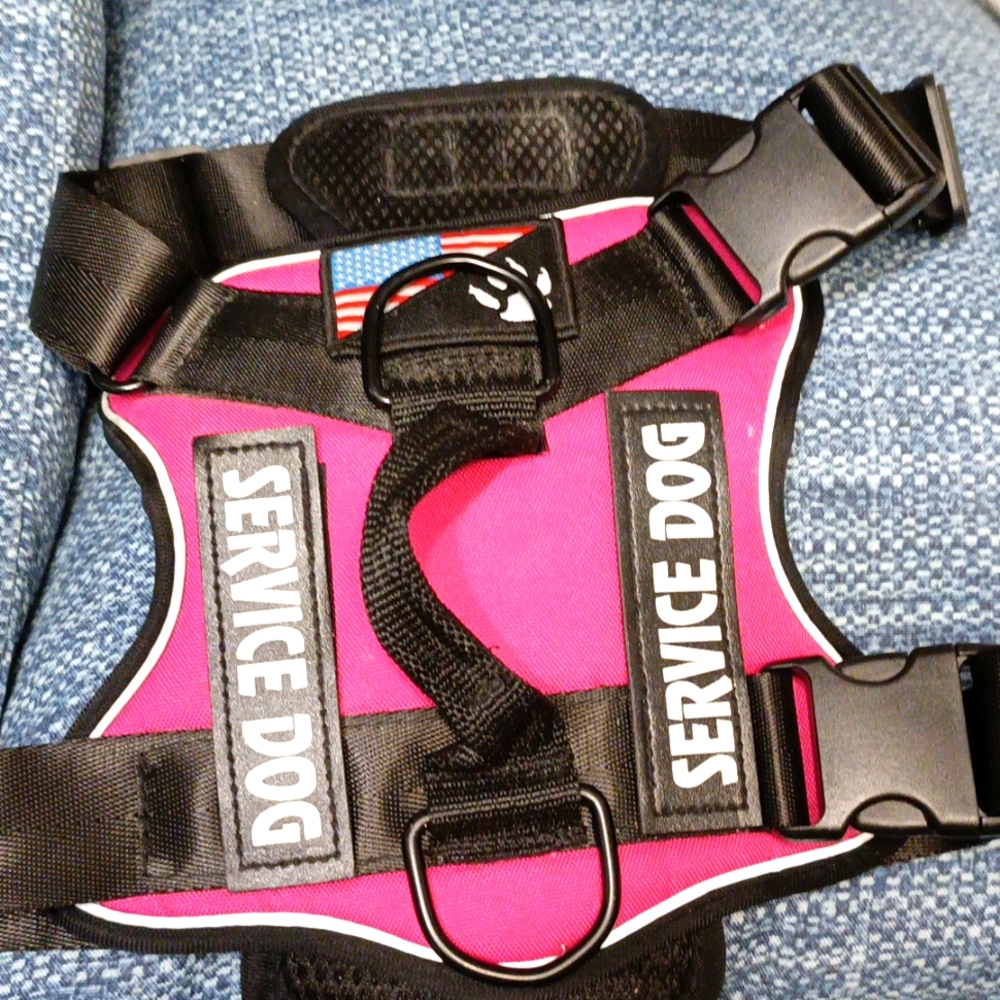 Dog vest